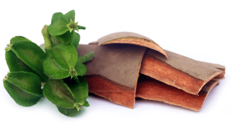 Arjuna bark as part of toner